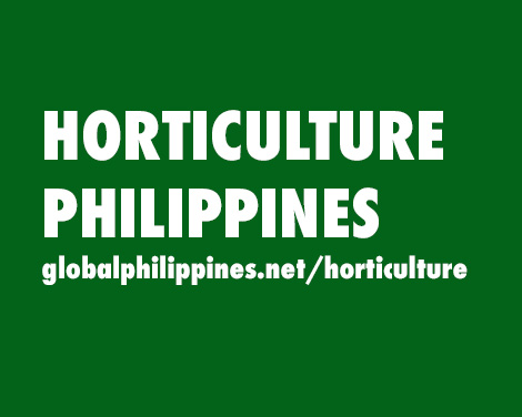 Horticulture Philippines