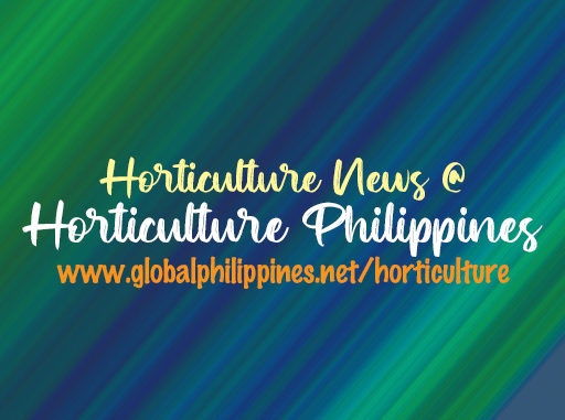 Horticulture Philippines