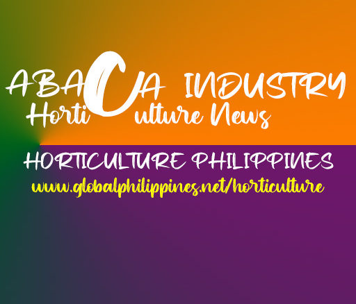 Horticulture Philippines Abaca