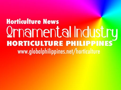 Horticulture Philippines Ornamentals