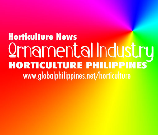 Horticulture Philippines Ornamentals