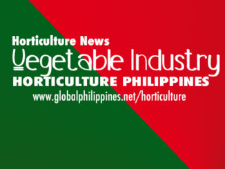 Horticulture Philippines Vegetables