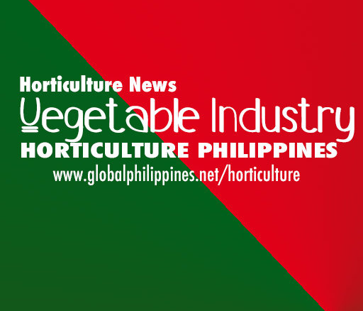 Horticulture Philippines Vegetables