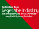Horticulture Philippines Vegetables