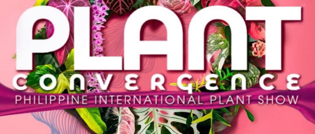 Plant Convergence