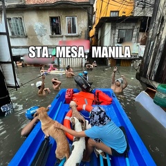 ST Carina destructions7