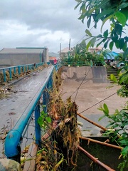 Oas Albay Typhoon Kristine3