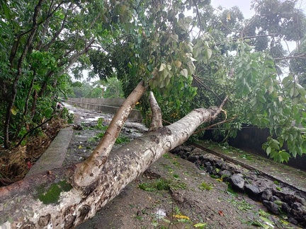 Brgy. San Agustin, Libon, Albay2
