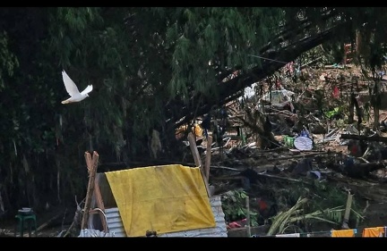 Typhoon Tino - Talisay City - Mananga River (31)