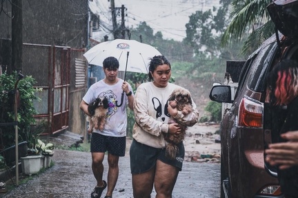 Typhoon Tino Cebu Destructions (40)