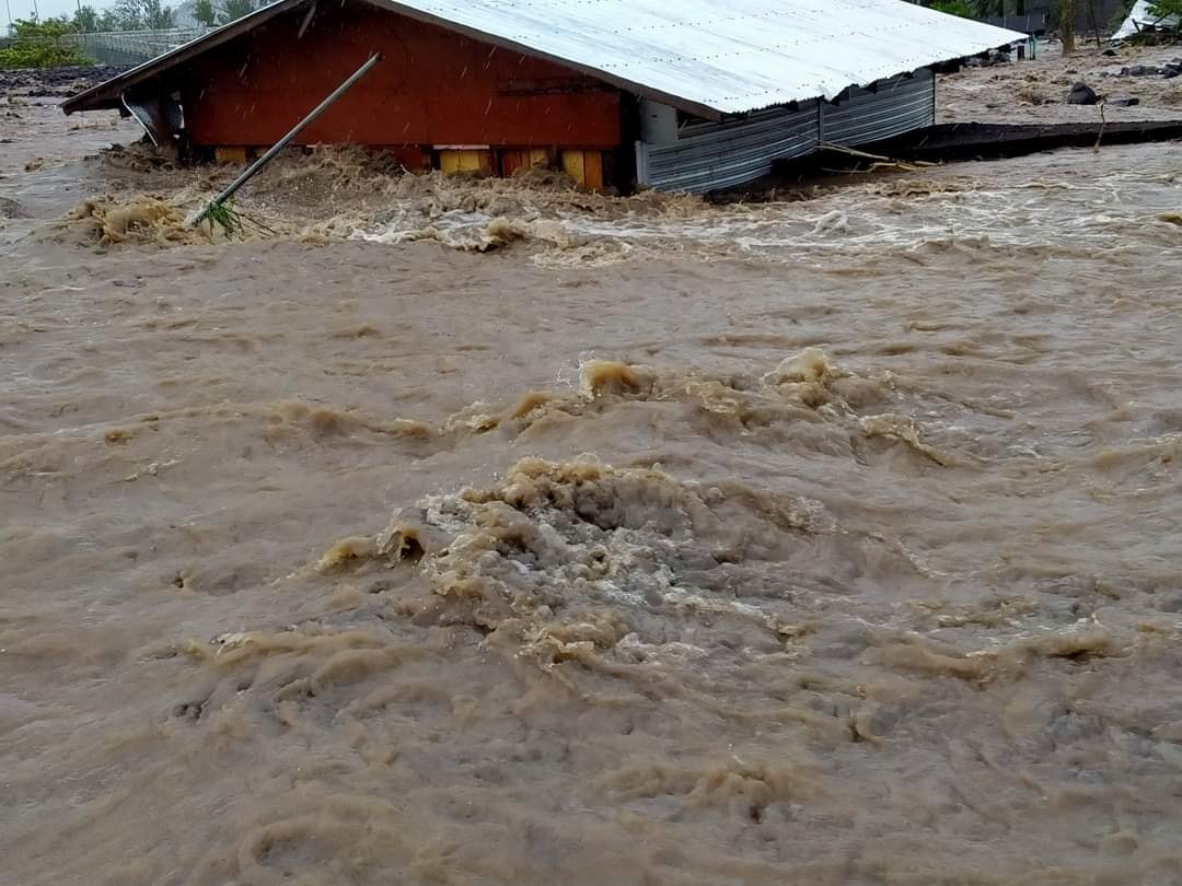 Typhoon Rolly brought massive destruction in some regions of the Philippines