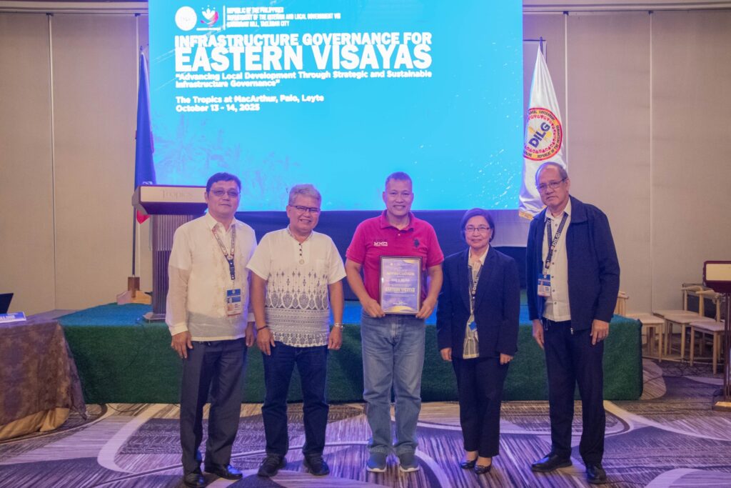 dilg8 infrastructure governance