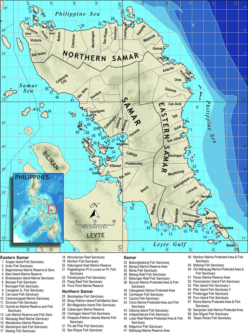 Samar Island Region