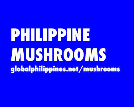 Philippine Mushrooms