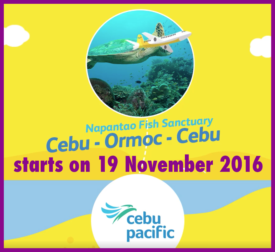 Cebu Pacific flies Cebu-Ormoc-Cebu route