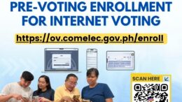 internet voting