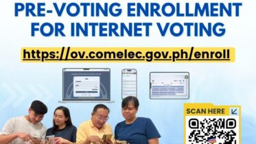 internet voting